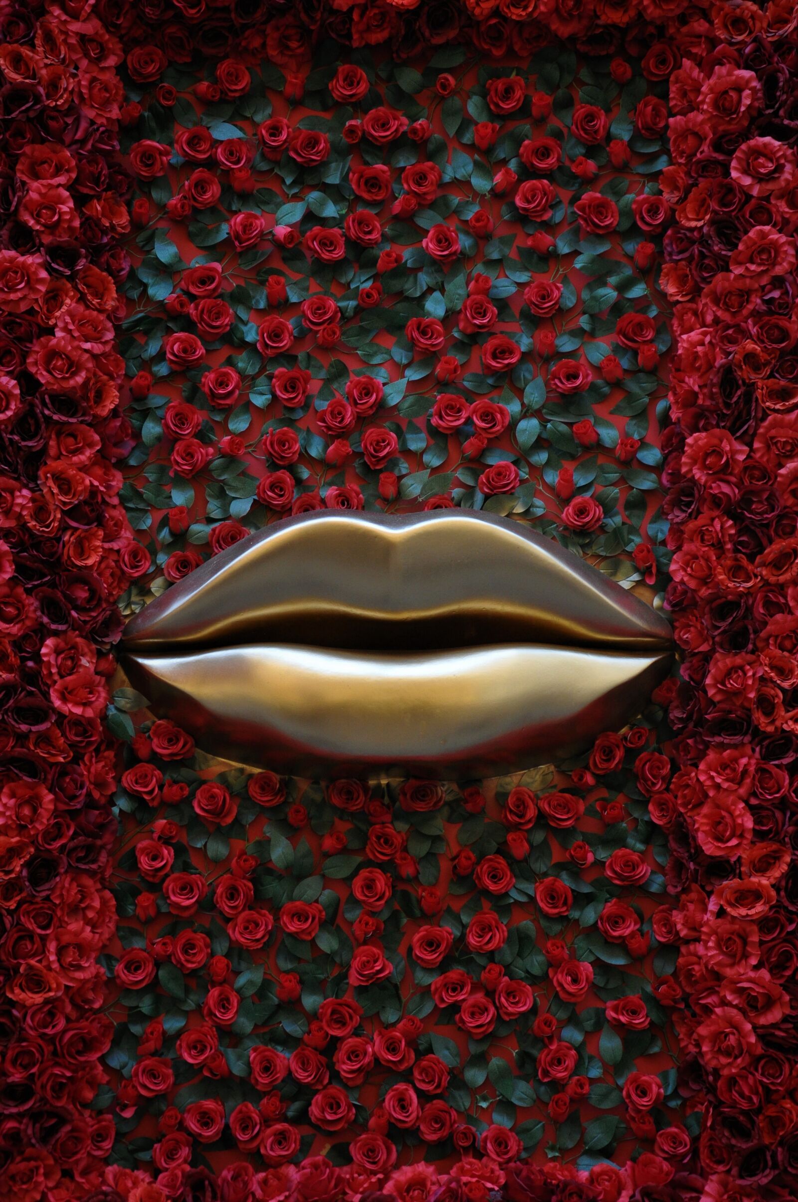 Nikon D90 sample photo. Lips, roses, red photography