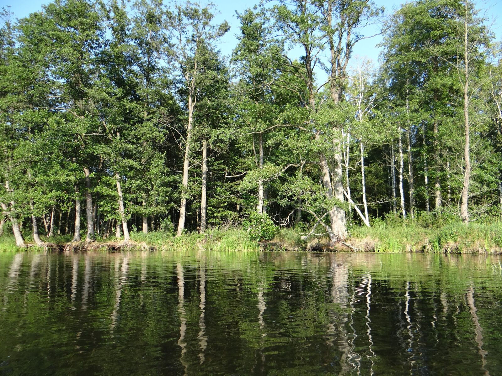 Sony DSC-HX200V sample photo. Krutynia, canoe trip, river photography