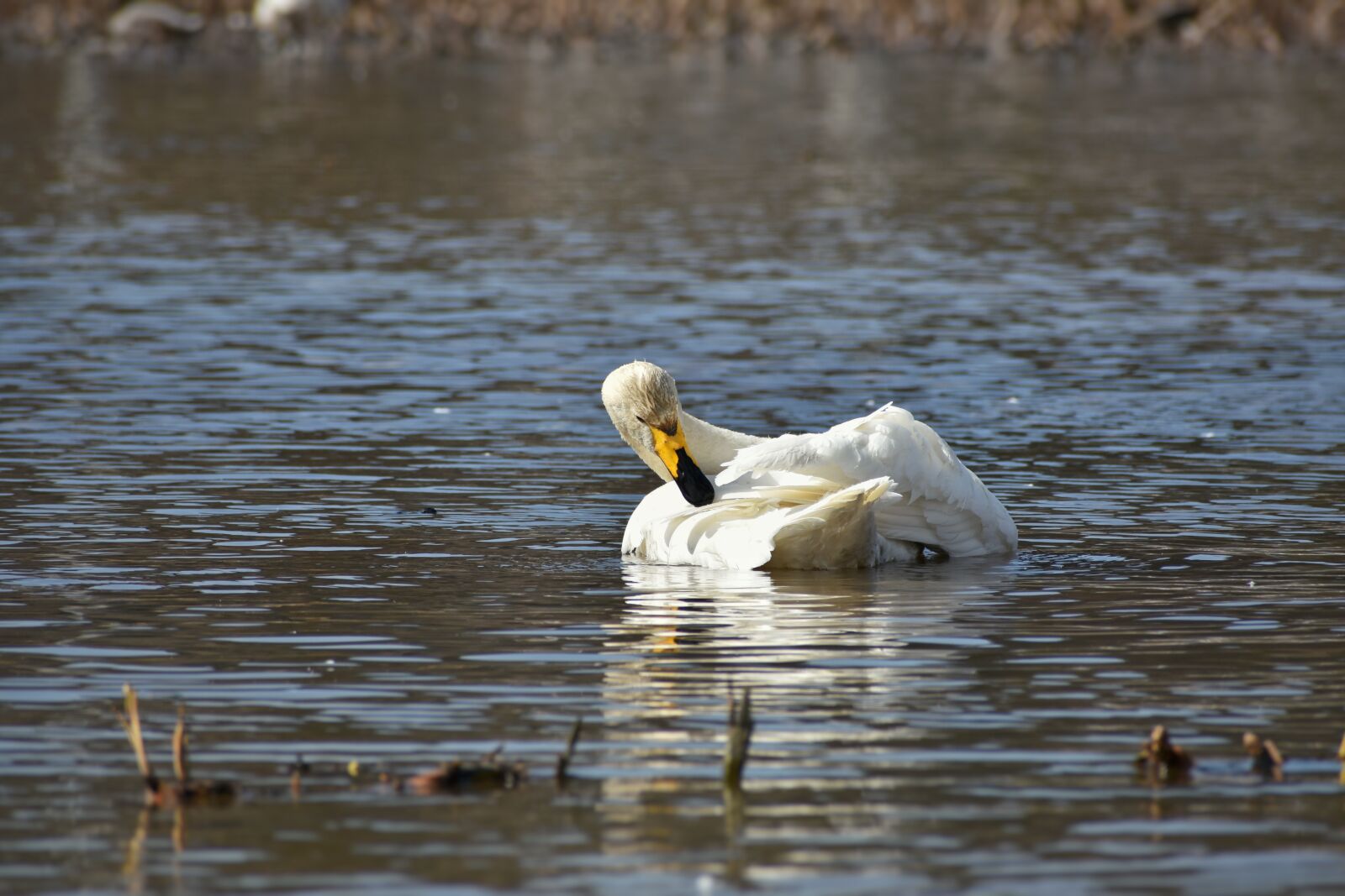 Nikon D7200 sample photo. Natural, landscape, lake photography