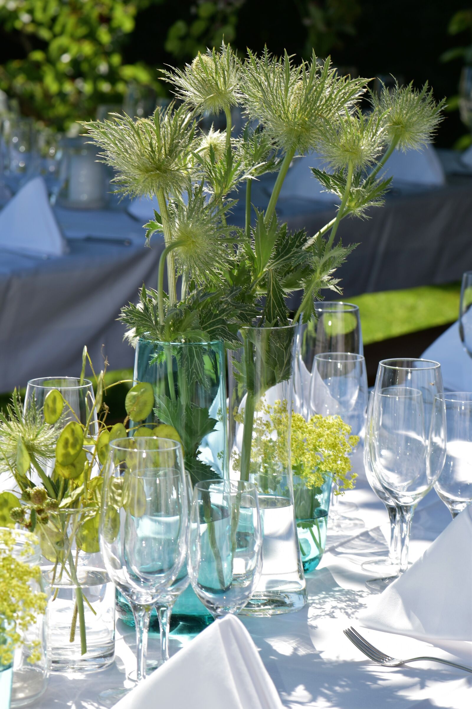 Nikon D5500 sample photo. Party, garden party, garden photography