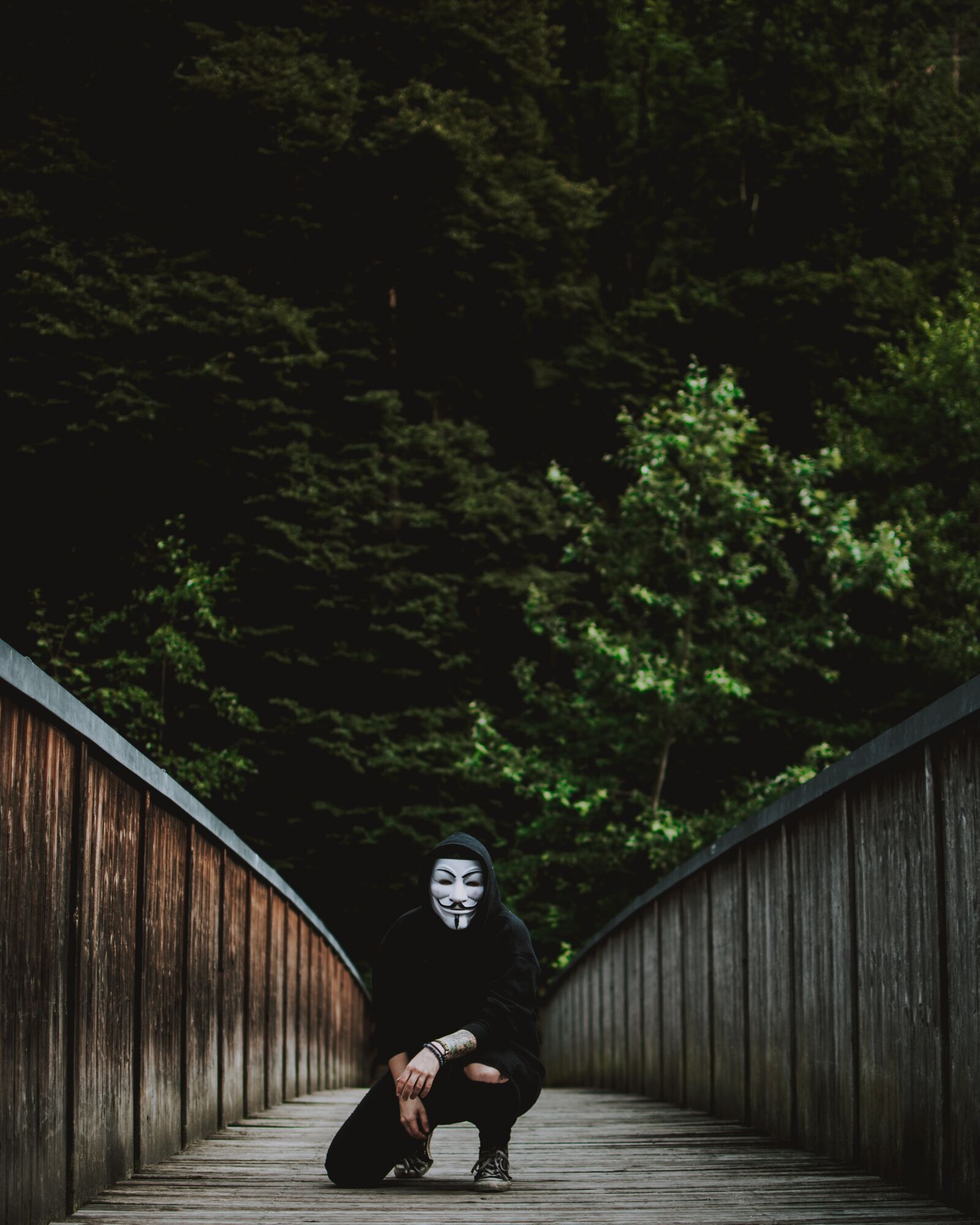 Nikon D5200 sample photo. Mask, sit, bridge photography
