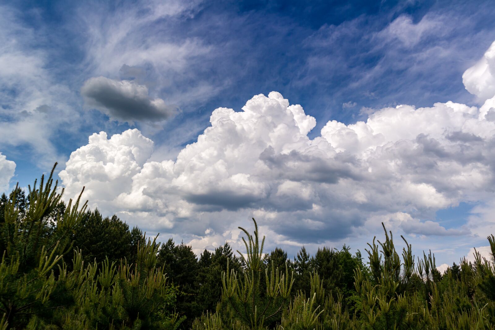 Samsung NX300 sample photo. Nature, sky, clouds photography