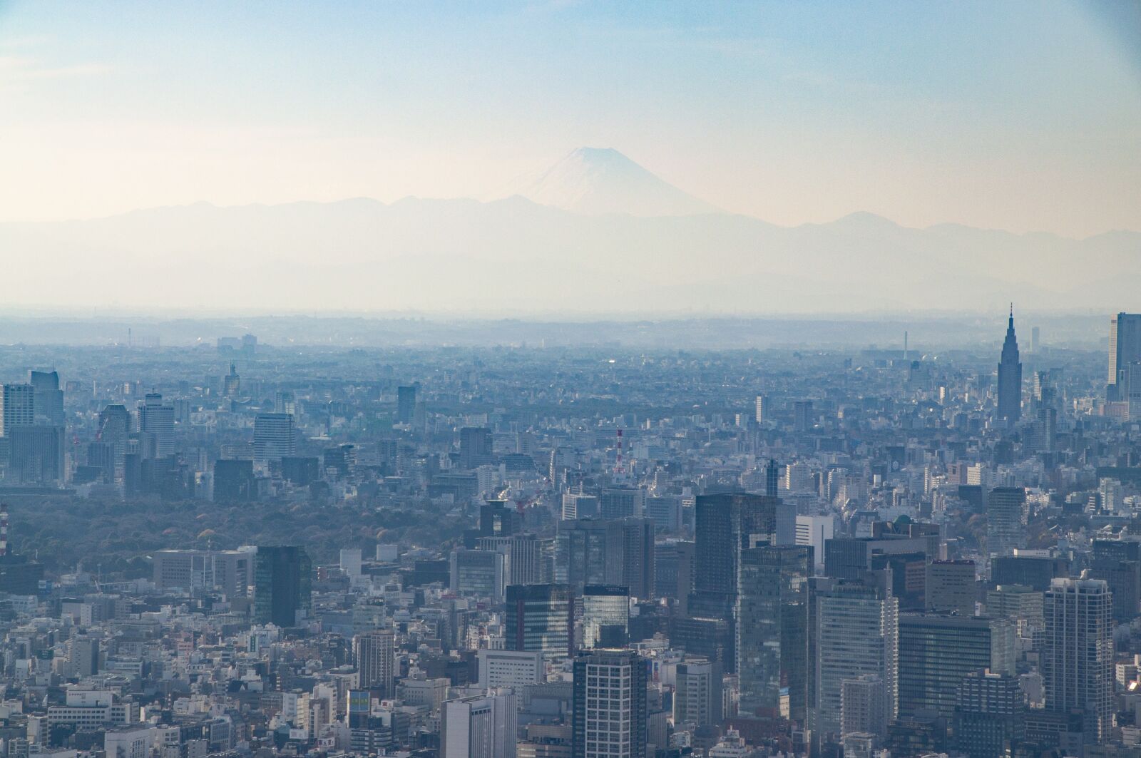 Nikon D5000 sample photo. Tokyo, japan, city photography