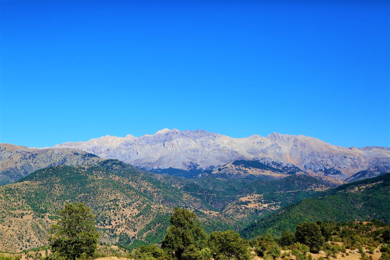 Canon EF 24-105mm F4L IS USM sample photo. Mountains, landscape, forest photography