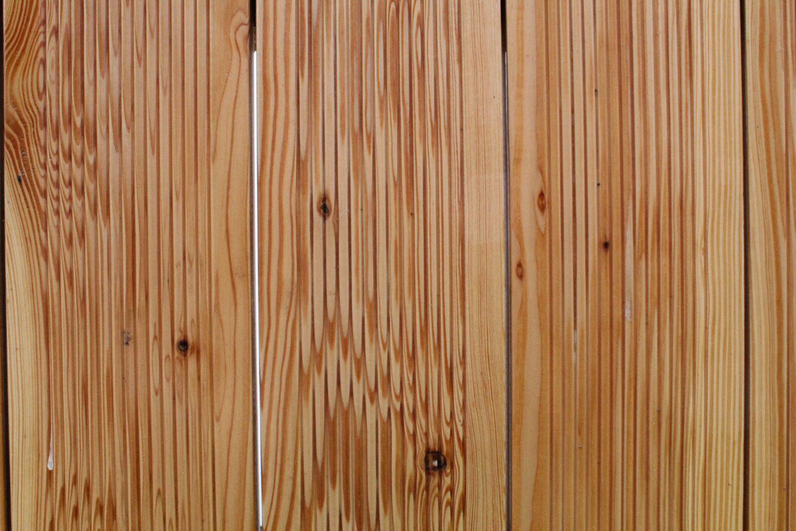 Canon EOS 1300D (EOS Rebel T6 / EOS Kiss X80) sample photo. Wood, close, fence photography