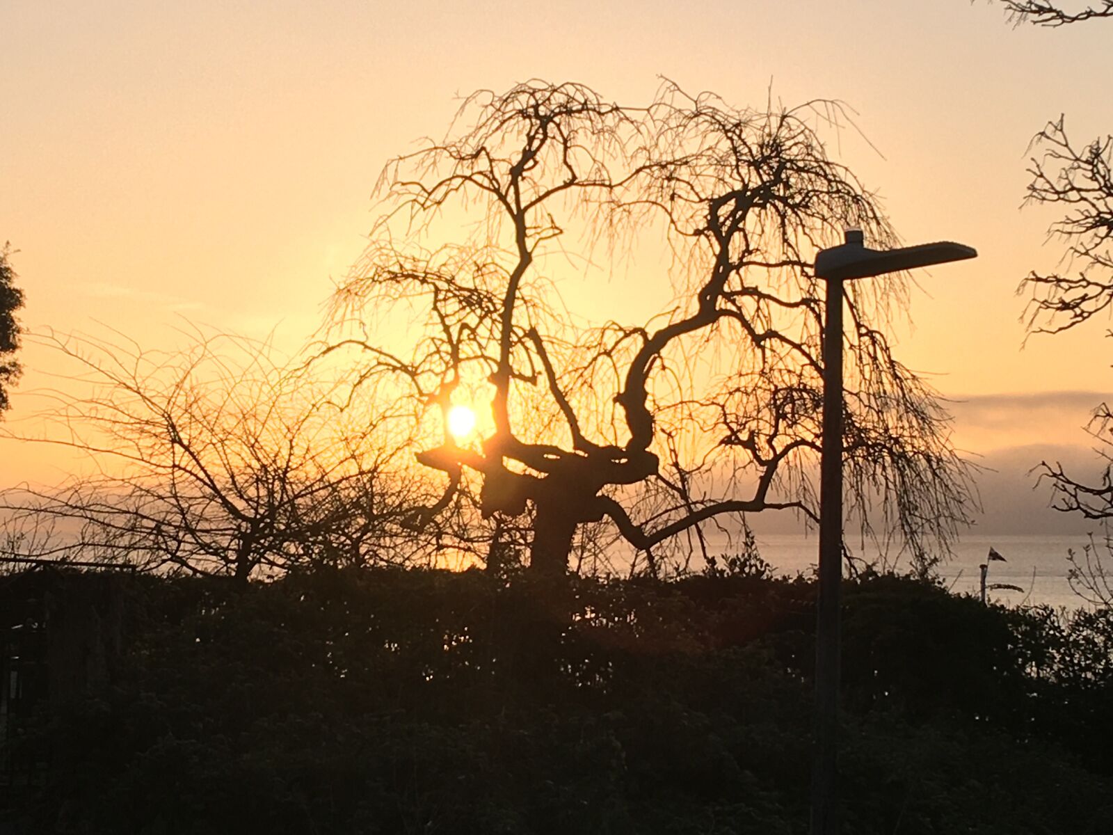 iPhone 6s Plus back camera 4.15mm f/2.2 sample photo. Penarth, sunrise, seafront photography