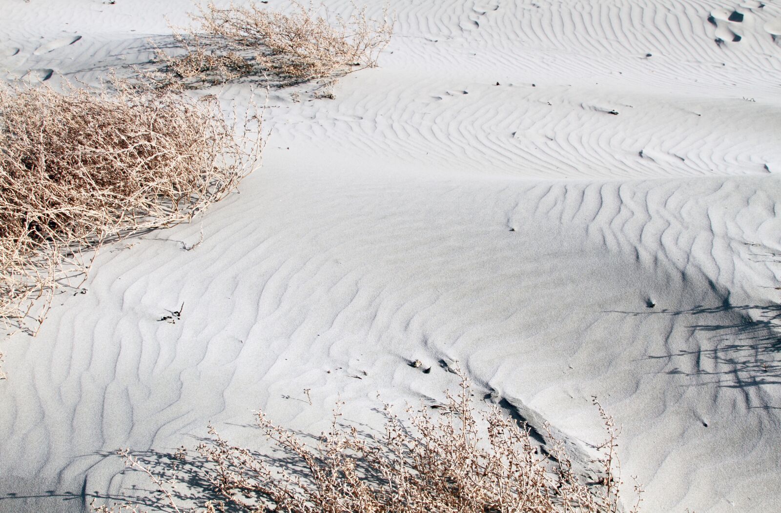 Canon EOS 7D sample photo. Beach, sand, seascape photography