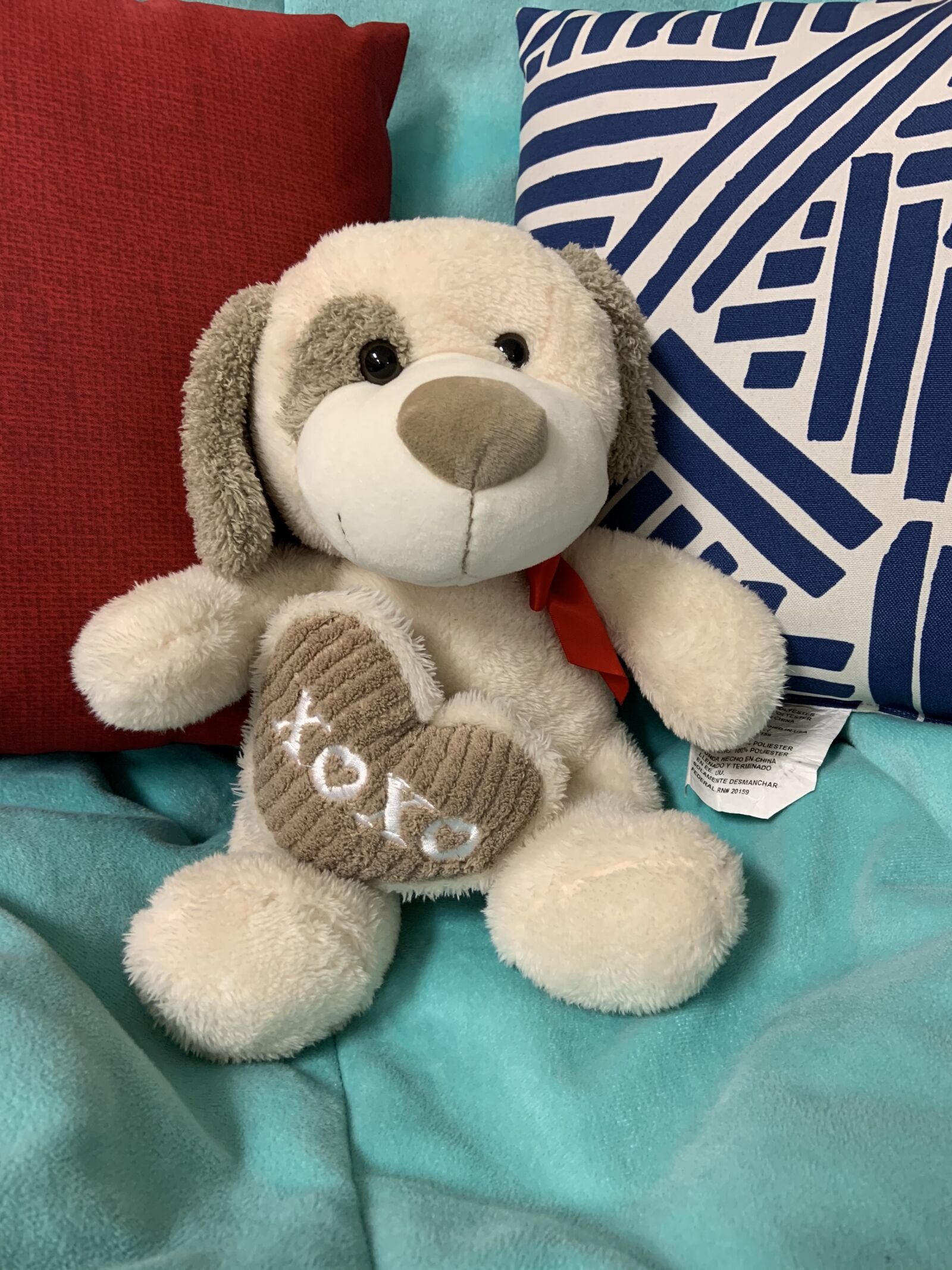 Apple iPhone XR sample photo. Classroom pet, stuffed animals photography