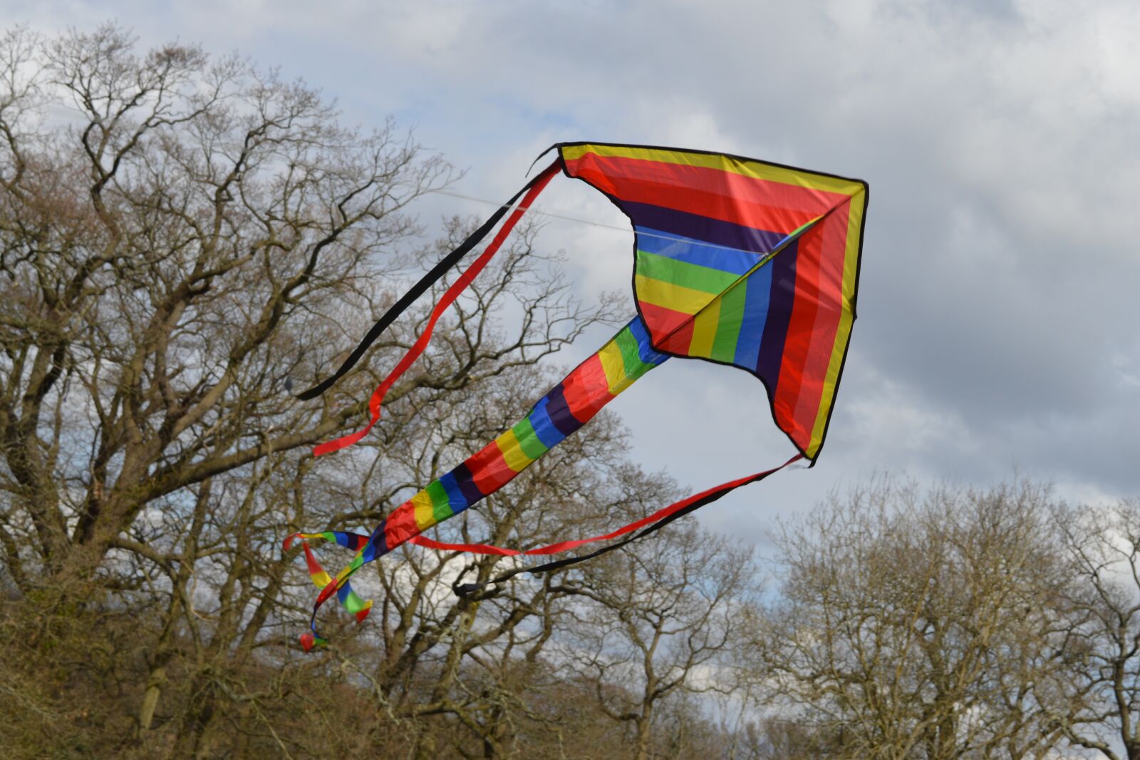 Nikon D3200 sample photo. Kite, tail, trees photography