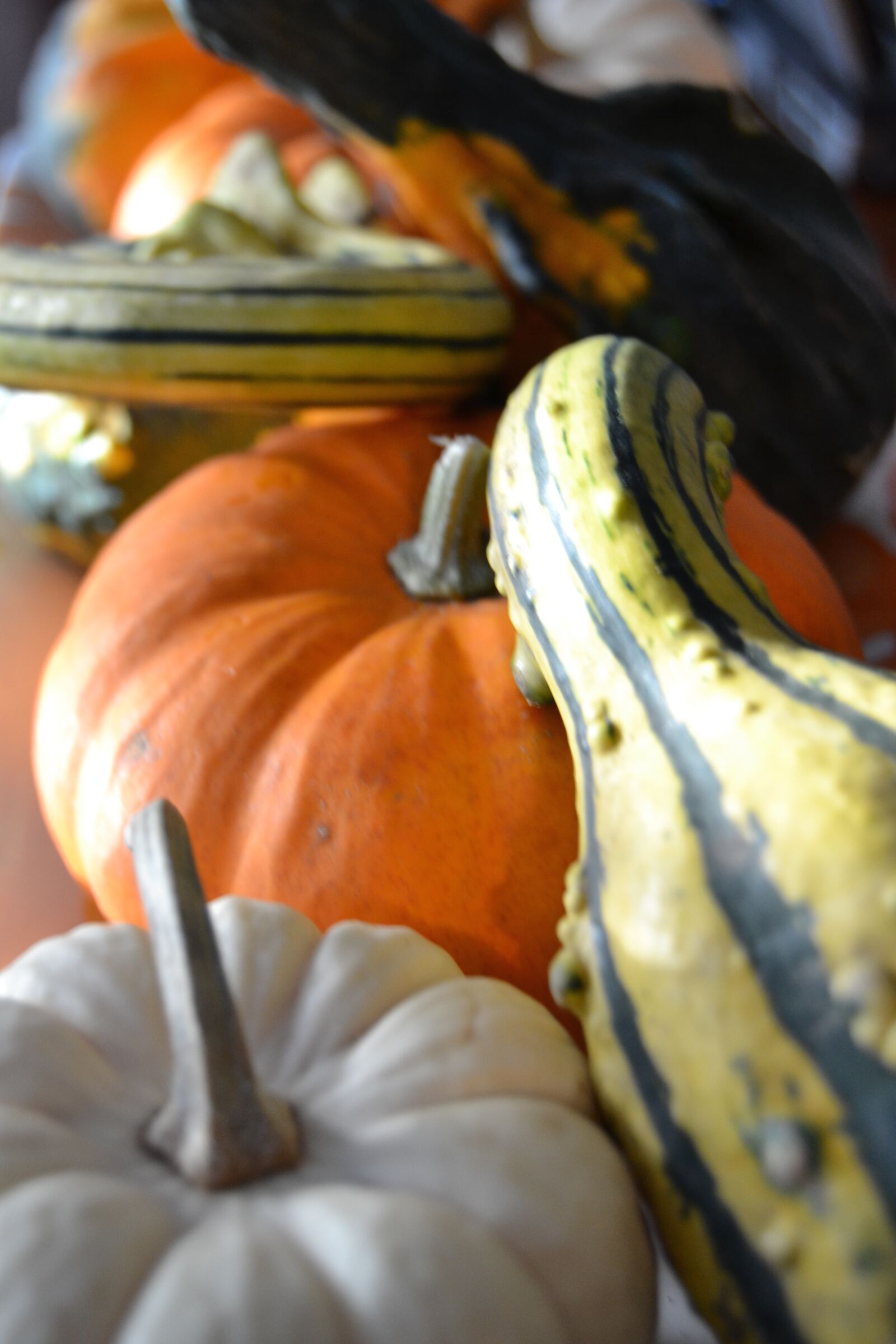 Nikon D3100 sample photo