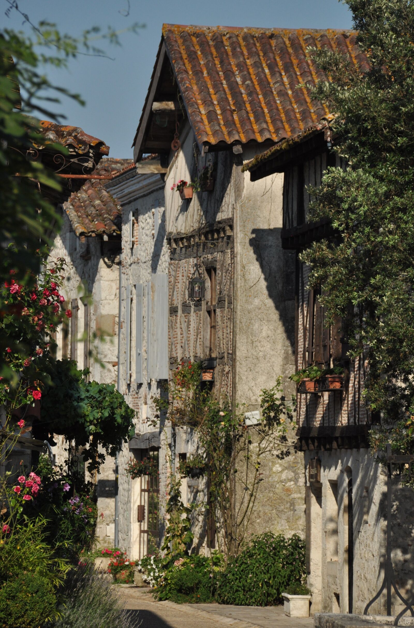 Nikon D90 sample photo. Good looking, village, summer photography