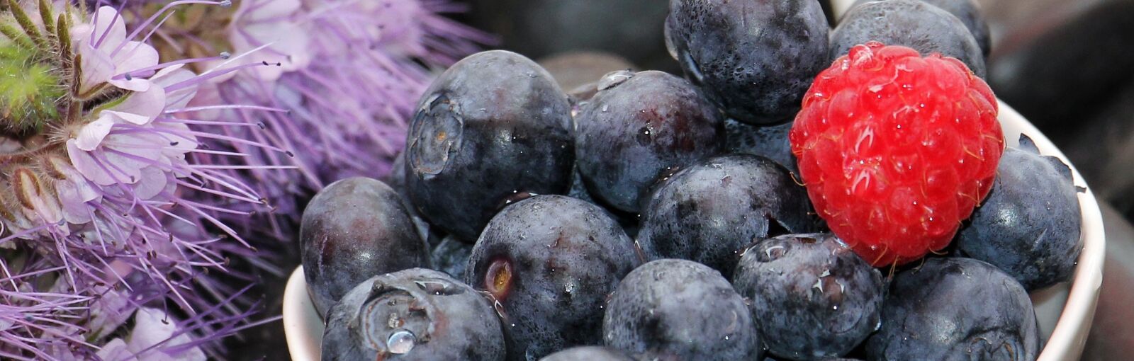 Canon EOS 550D (EOS Rebel T2i / EOS Kiss X4) sample photo. Blueberries, raspberry, fruits photography