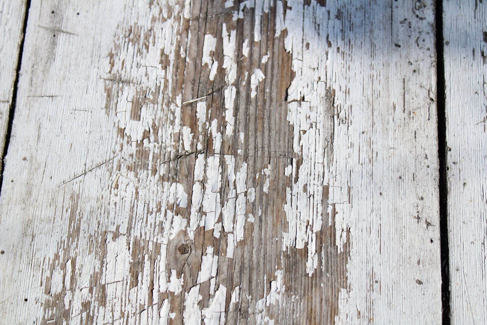 Canon EOS 1300D (EOS Rebel T6 / EOS Kiss X80) sample photo. Board, wood, destroyed ironing photography
