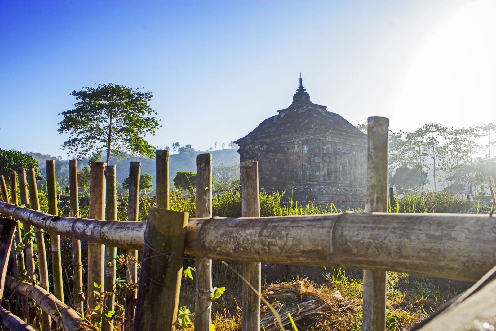 Canon EOS 60D sample photo. Temple, banyunibo temple, tree photography