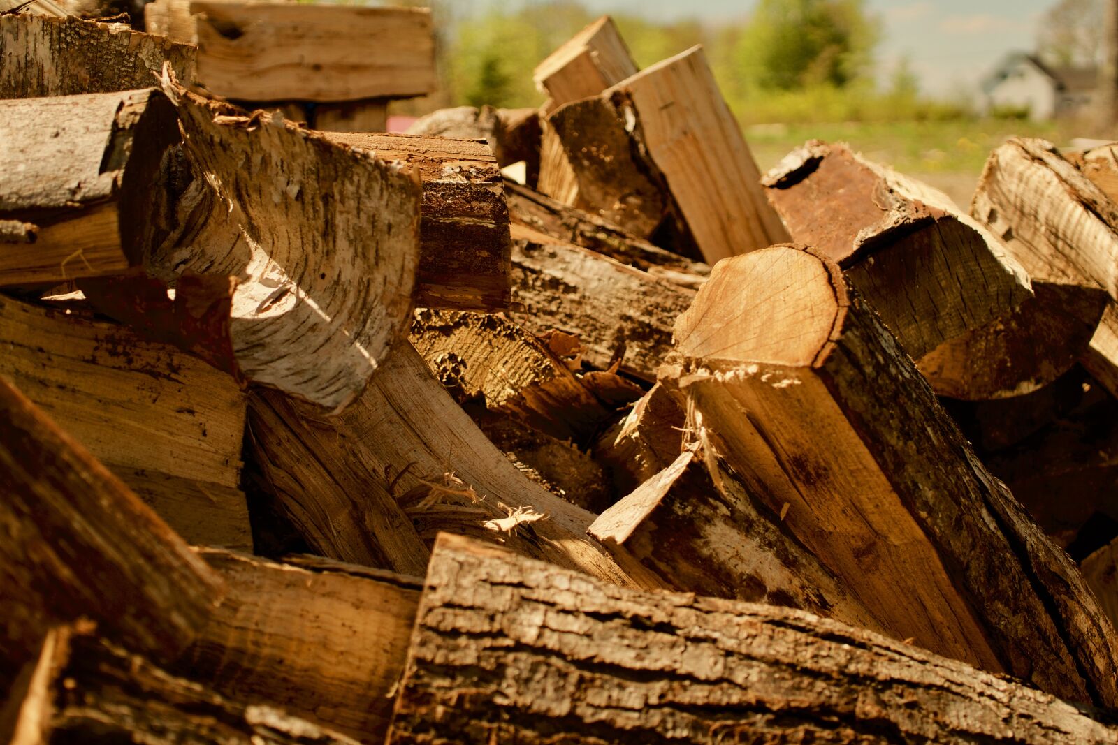 Sony a6300 + Sigma 30mm F2.8 EX DN sample photo. Wood, firewood, warm photography
