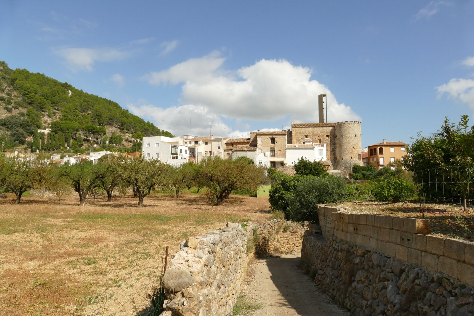 Panasonic Lumix DMC-FZ1000 sample photo. Murla, spain, village photography