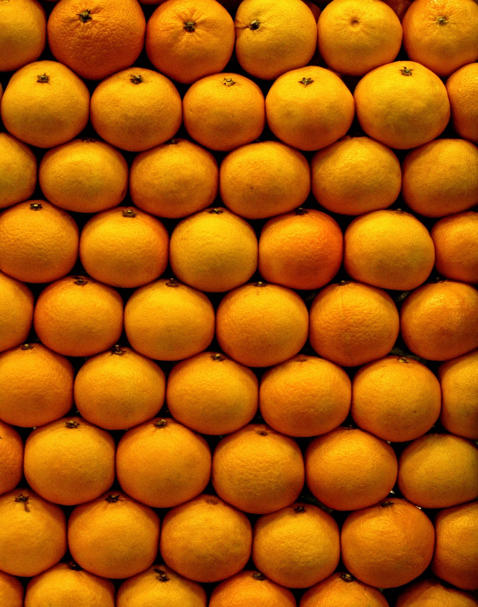 Leica Digilux 3 sample photo. Fruit, oranges, autumn fruit photography