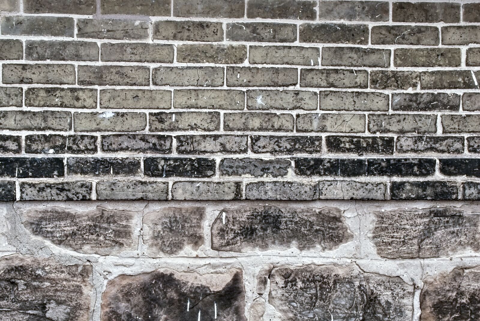 Nikon D60 sample photo. Backdrop, wall, brick photography