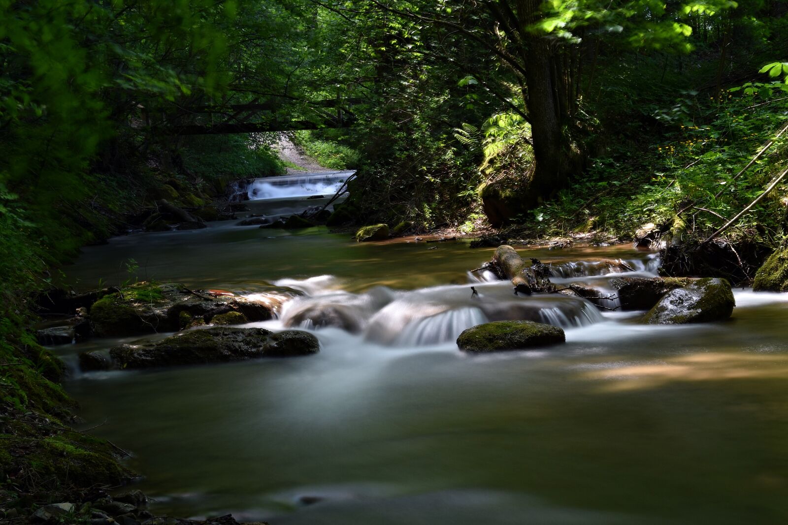 Nikon D3400 sample photo. Long exposure, bach, forest photography