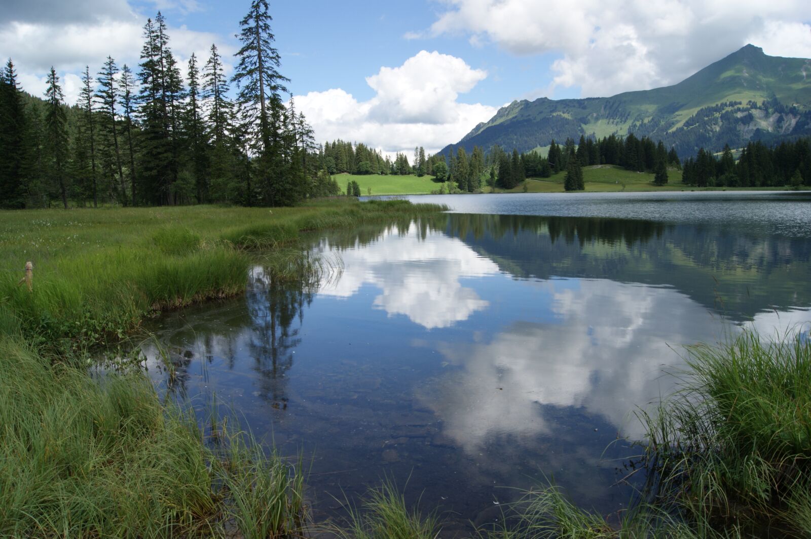 Sony Alpha DSLR-A290 sample photo. Lake lauenen, nature, lake photography