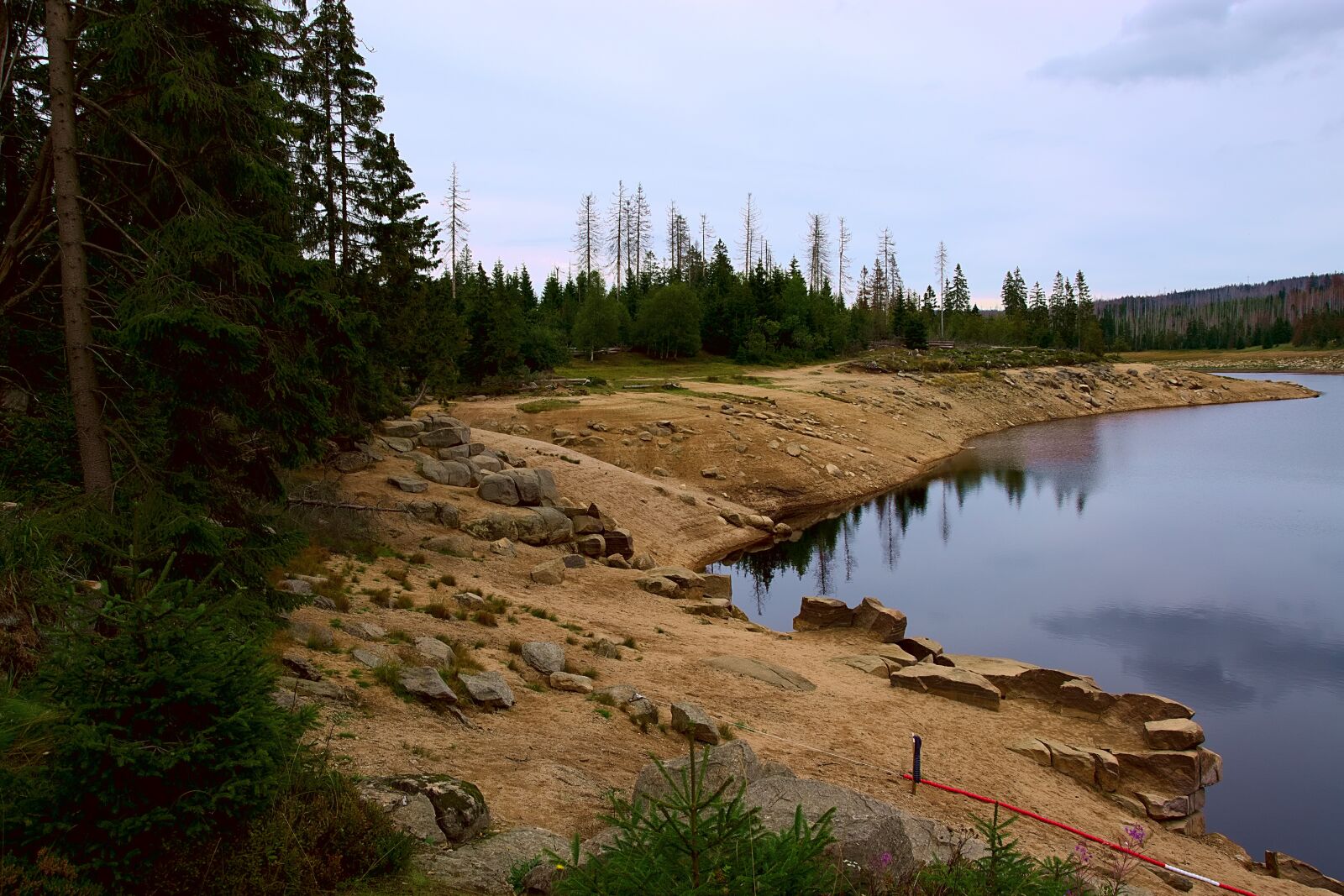 Nikon D7200 sample photo. Lake, forest, trees photography