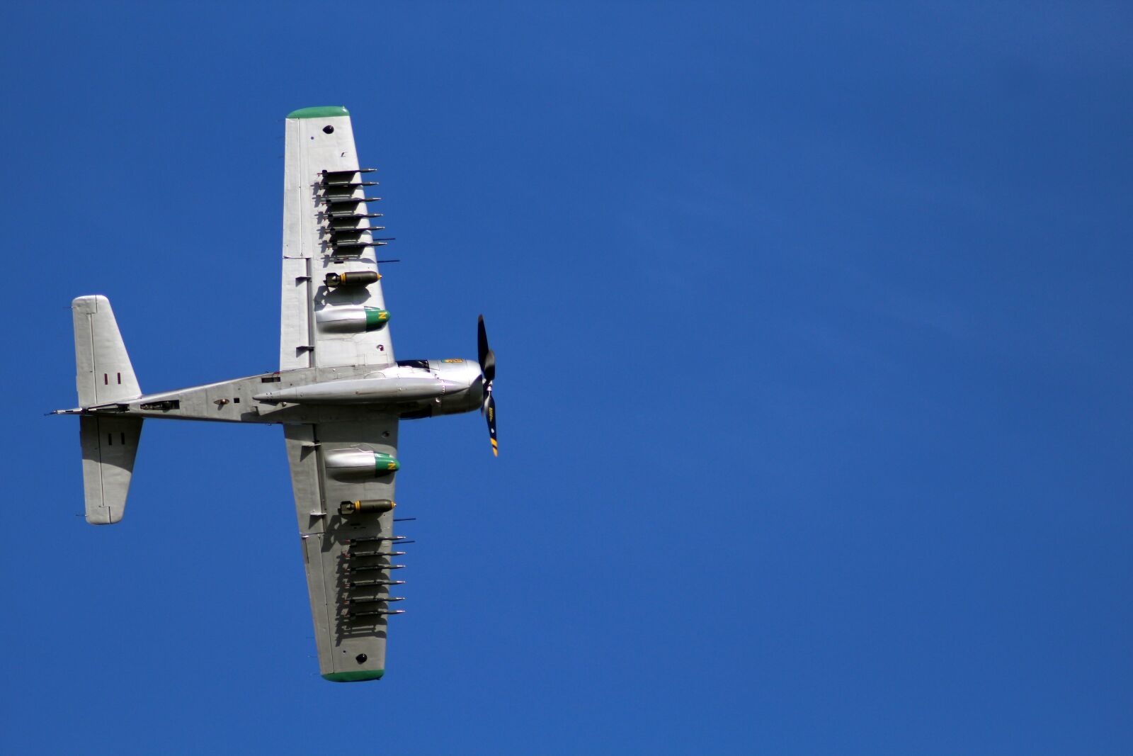 EF100-300mm f/5.6 sample photo. Aircraft, skyraider, meeting photography
