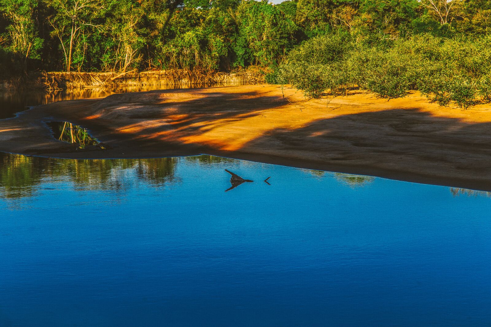 Canon EOS 6D + Canon EF 24-105mm F4L IS USM sample photo. The river's fish and photography