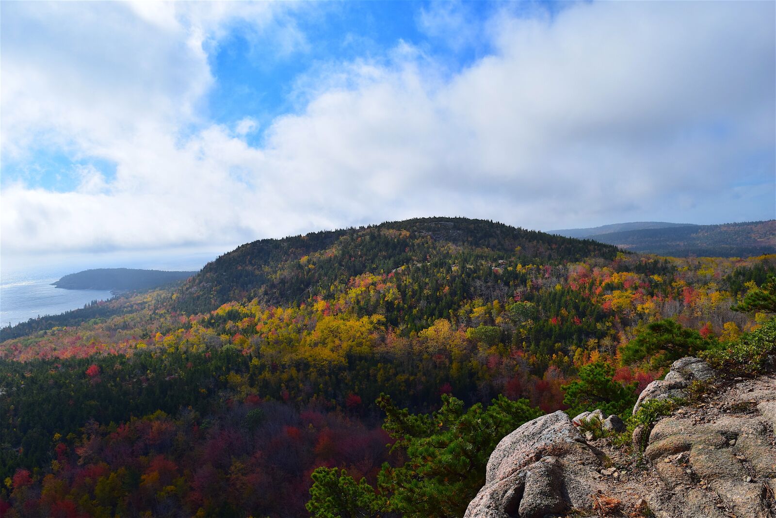 Nikon D3300 sample photo. Mountain, trees, nature photography