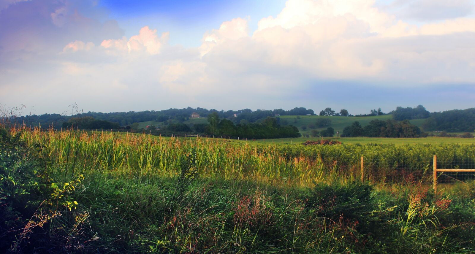 Canon EOS 600D (Rebel EOS T3i / EOS Kiss X5) sample photo. Shenandoah valley, virginia, field photography