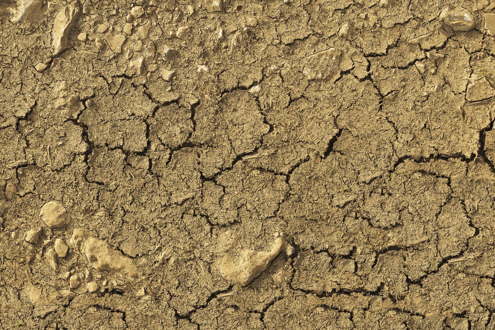 Panasonic Lumix DMC-FZ1000 sample photo. Dry, ground, cracks photography