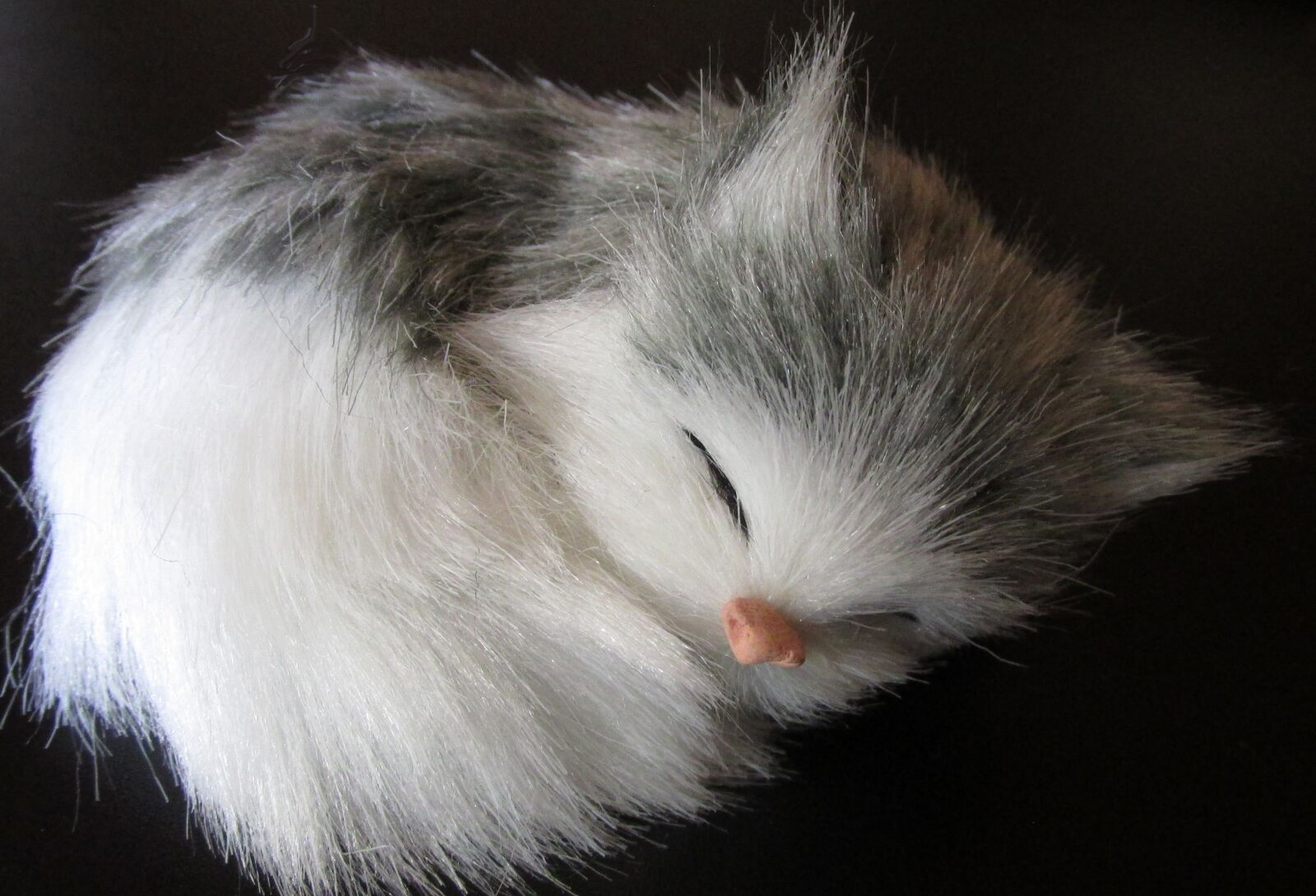 Canon PowerShot SX170 IS sample photo. Cat, toy, cute photography