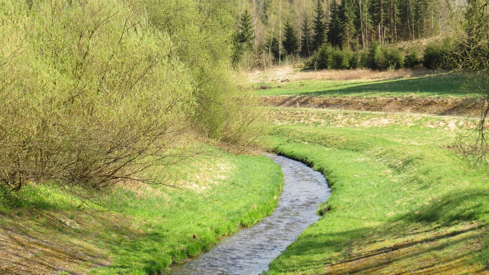 Canon PowerShot SX50 HS sample photo. Nature, grass, landscape photography