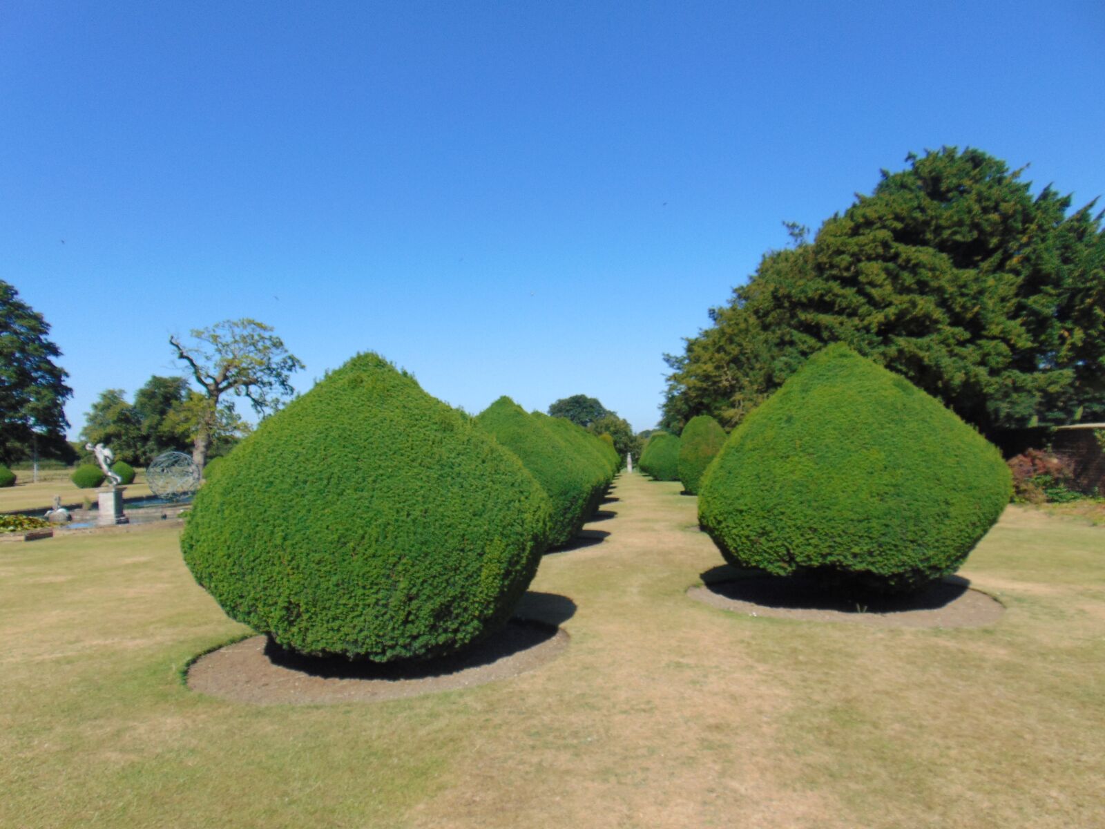 Sony Cyber-shot DSC-H300 sample photo. Topiary, sculpted, green photography