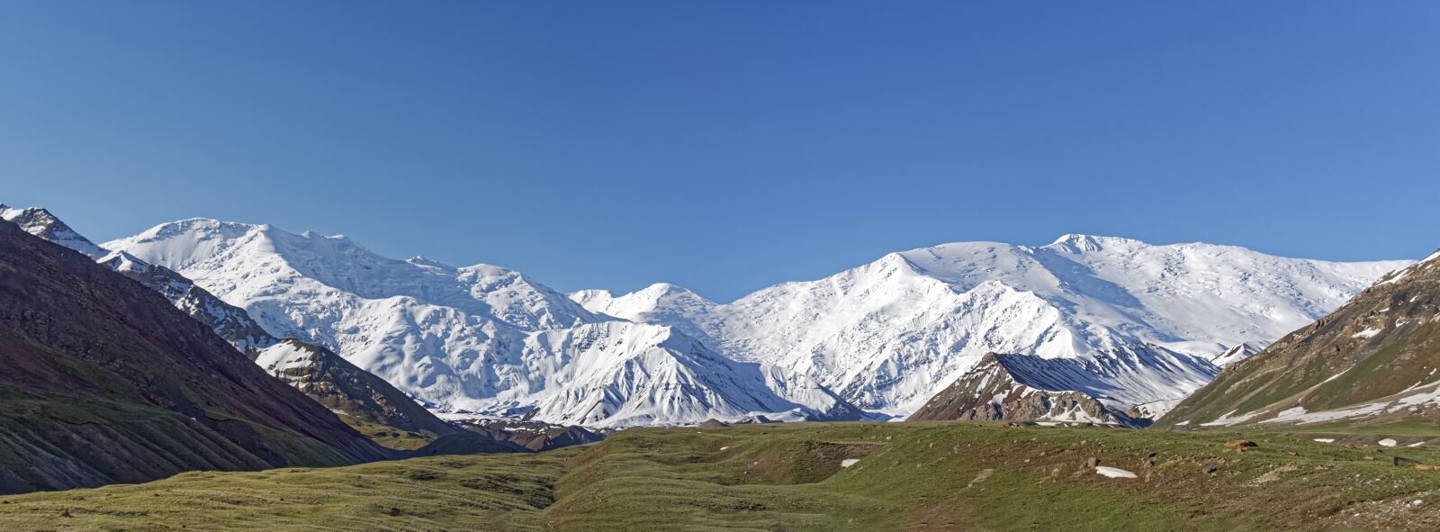 Nikon D500 sample photo. Kyrgyzstan, mountains, landscape photography