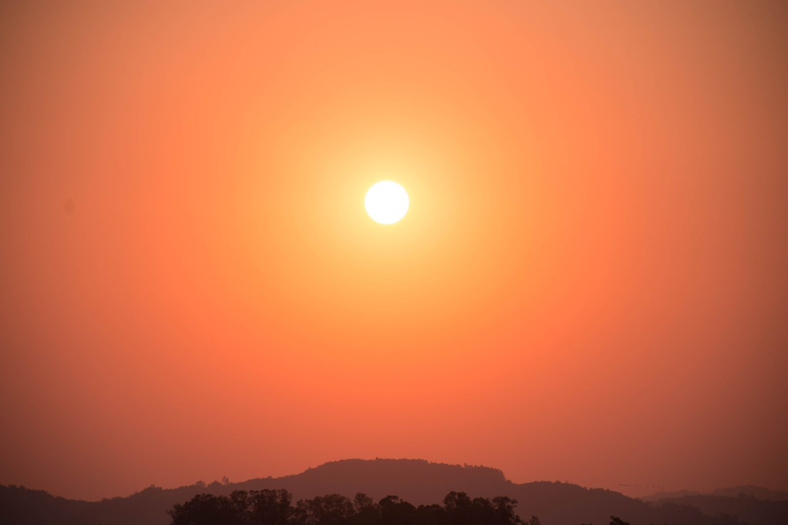 Nikon D7200 sample photo. Sun, sky, sunset photography