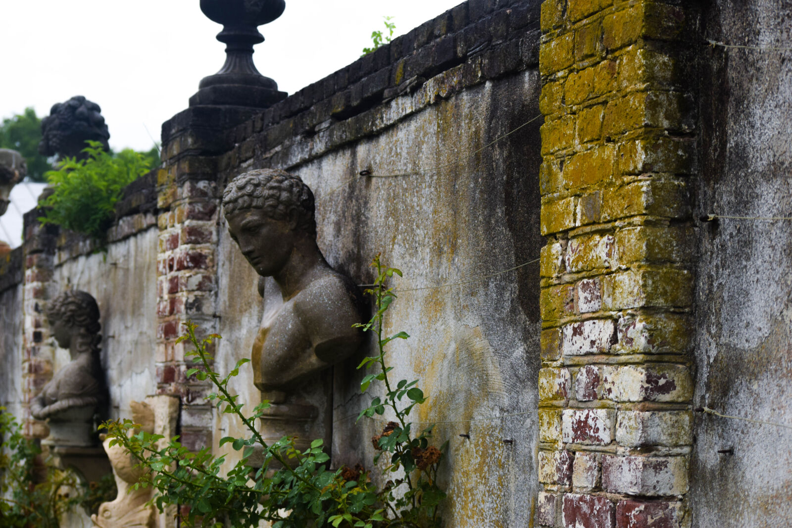 Nikon D3300 sample photo. Statue, wall photography