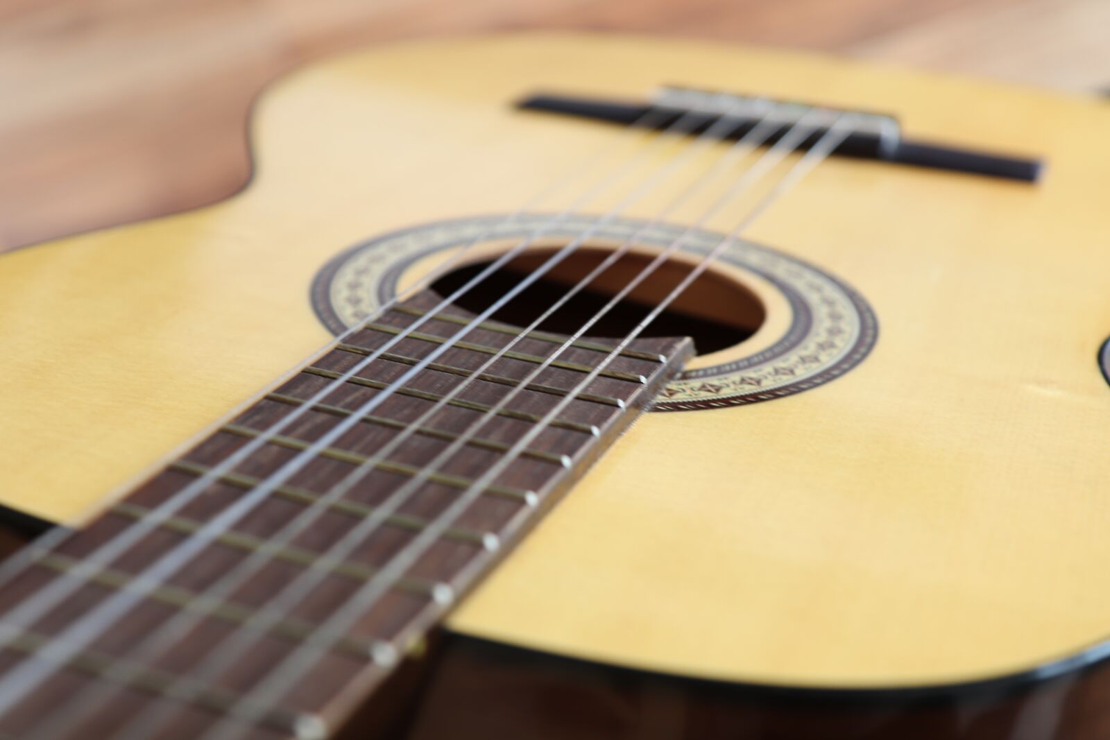 Canon EOS 800D (EOS Rebel T7i / EOS Kiss X9i) sample photo. Guitar strings, guitar, musical photography