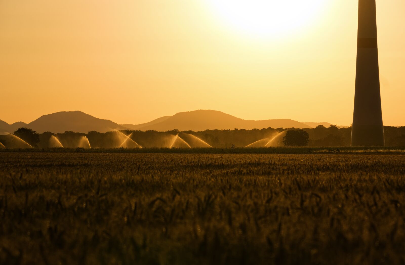 Sony E 55-210mm F4.5-6.3 OSS sample photo. Sunset, backlighting, irrigation photography