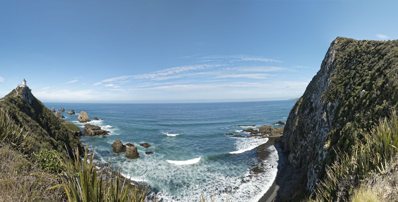 Nikon D500 sample photo. New zealand, nugget point photography