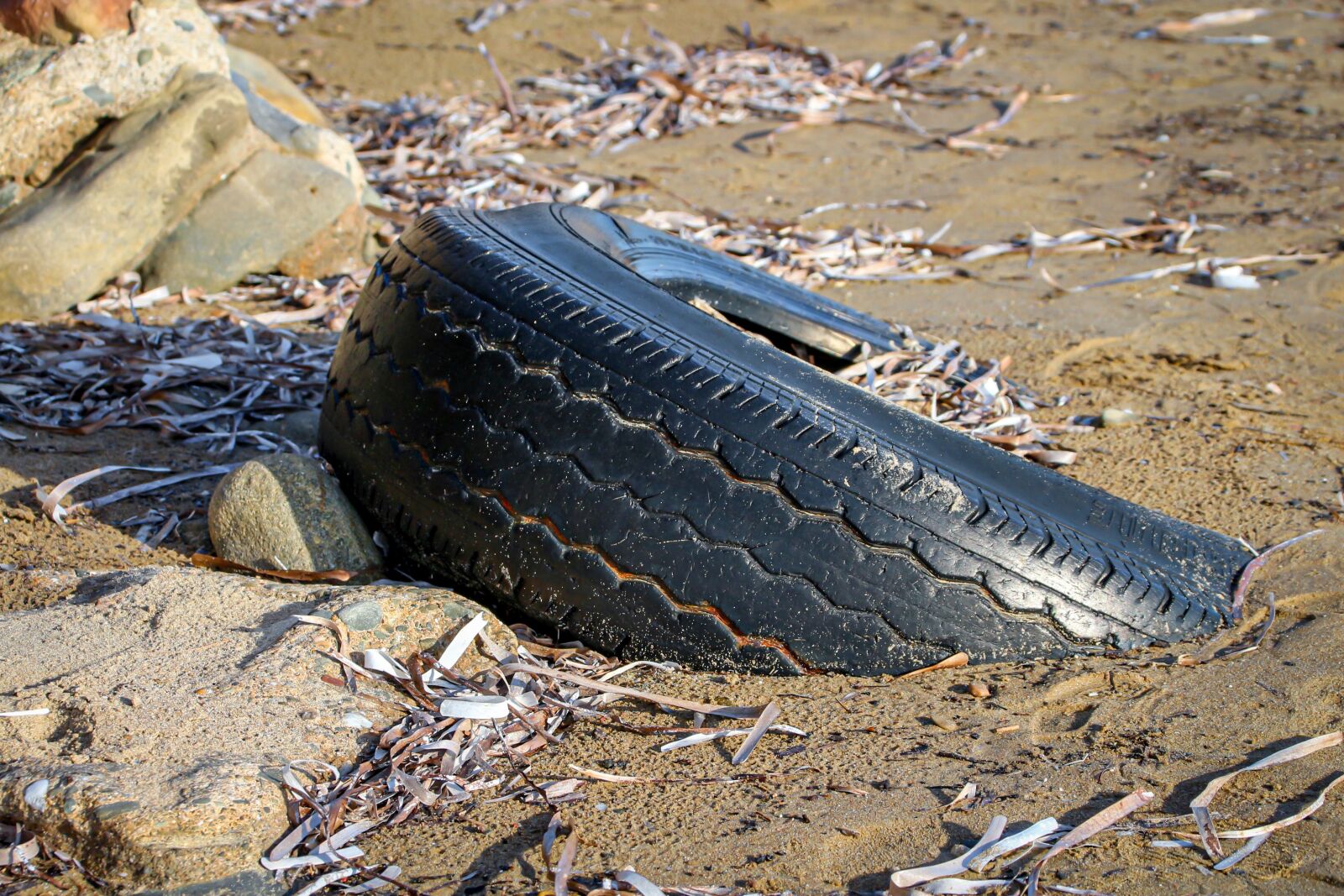 Canon EOS 650D (EOS Rebel T4i / EOS Kiss X6i) sample photo. Pollution, mature, auto tires photography