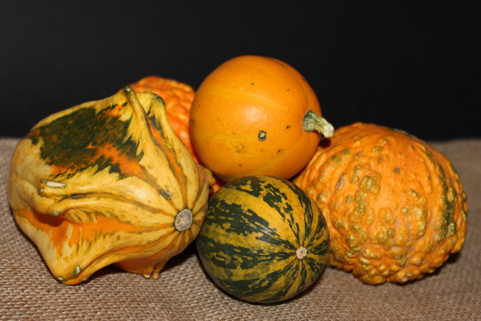 Canon EOS 600D (Rebel EOS T3i / EOS Kiss X5) sample photo. Pumpkin, halloween, autumn photography
