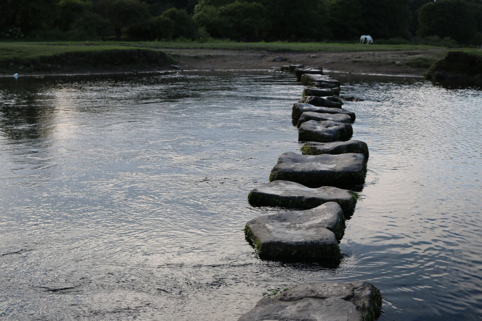 Canon EOS 750D (EOS Rebel T6i / EOS Kiss X8i) sample photo. Steps, stones, river photography
