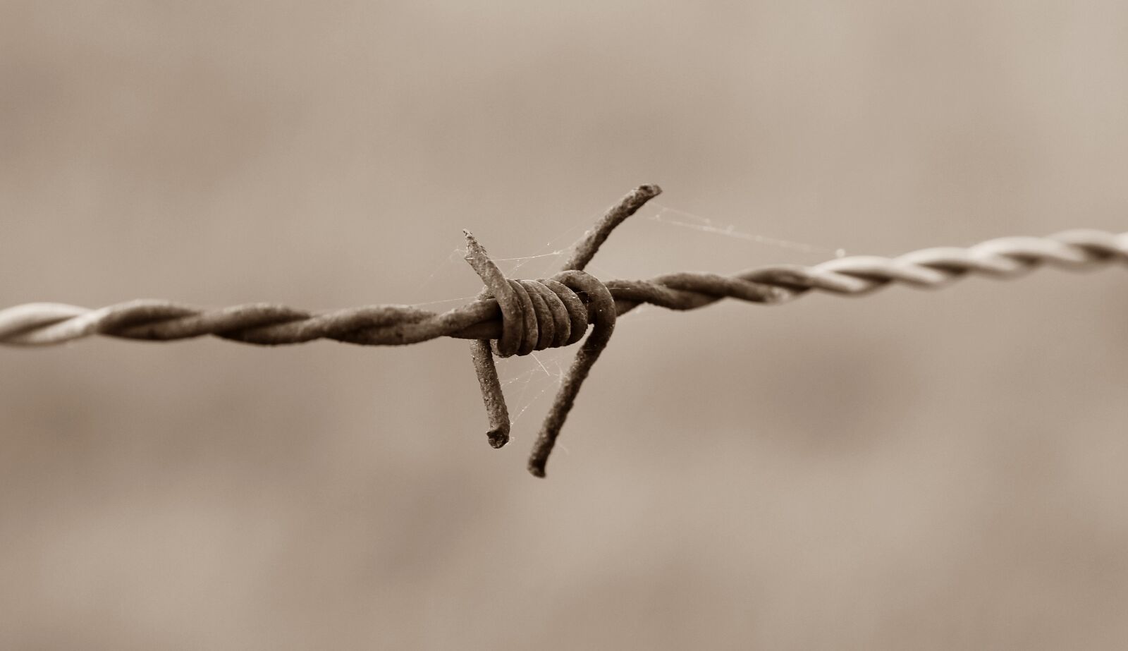 Canon EOS 60D sample photo. Barbed wire fence, barbed photography