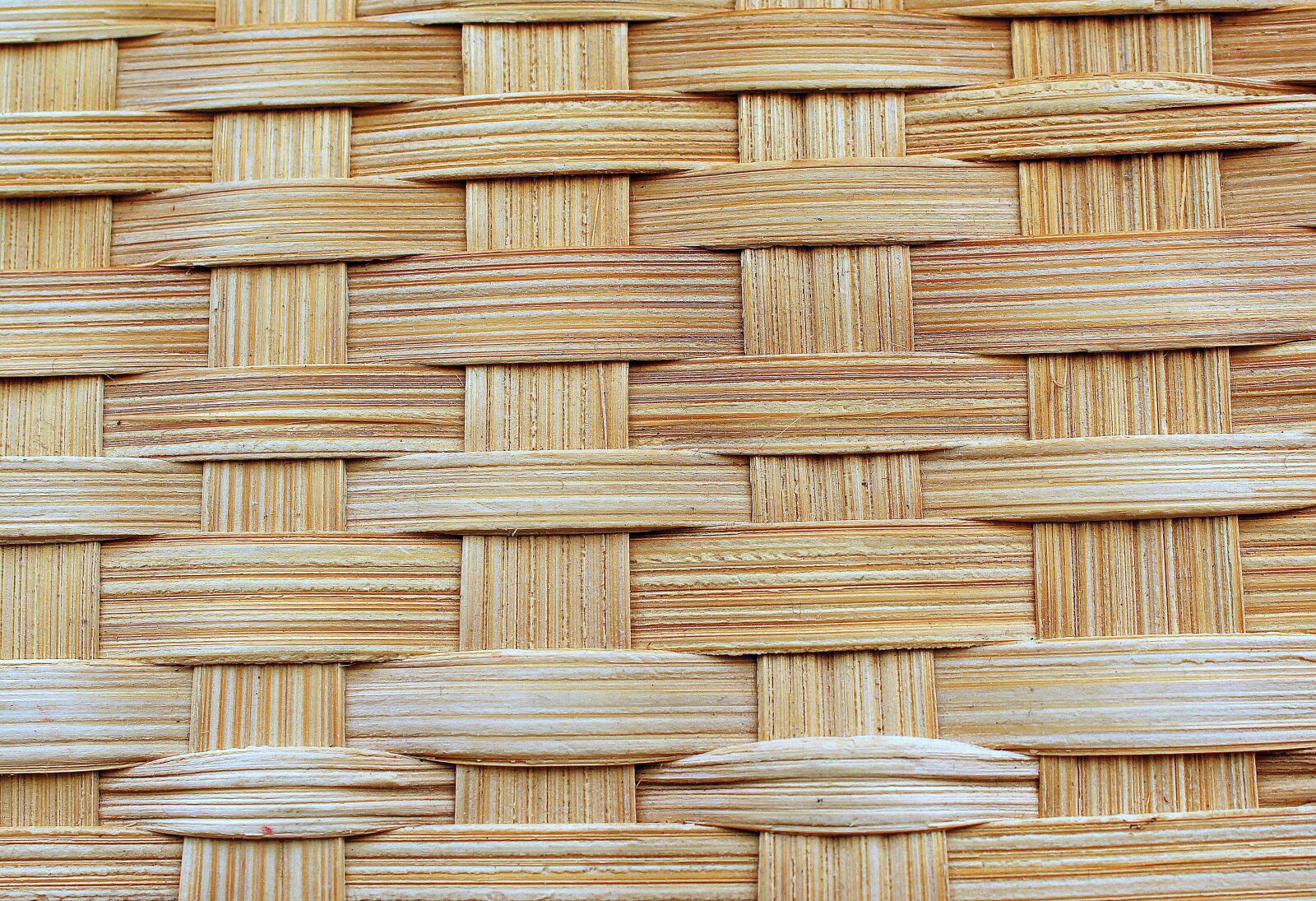 Canon EOS 1200D (EOS Rebel T5 / EOS Kiss X70 / EOS Hi) sample photo. Wicker, model, texture photography
