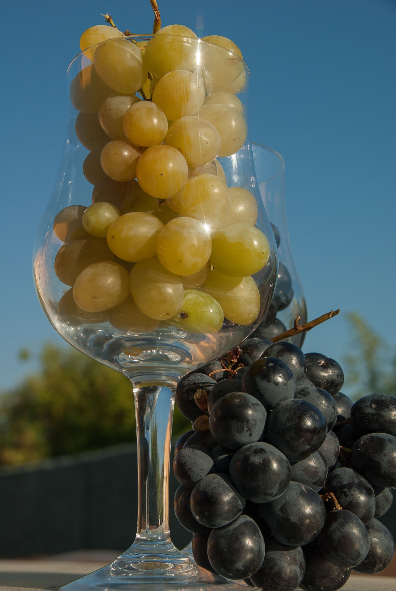 Pentax K10D sample photo. White grape, black grape photography