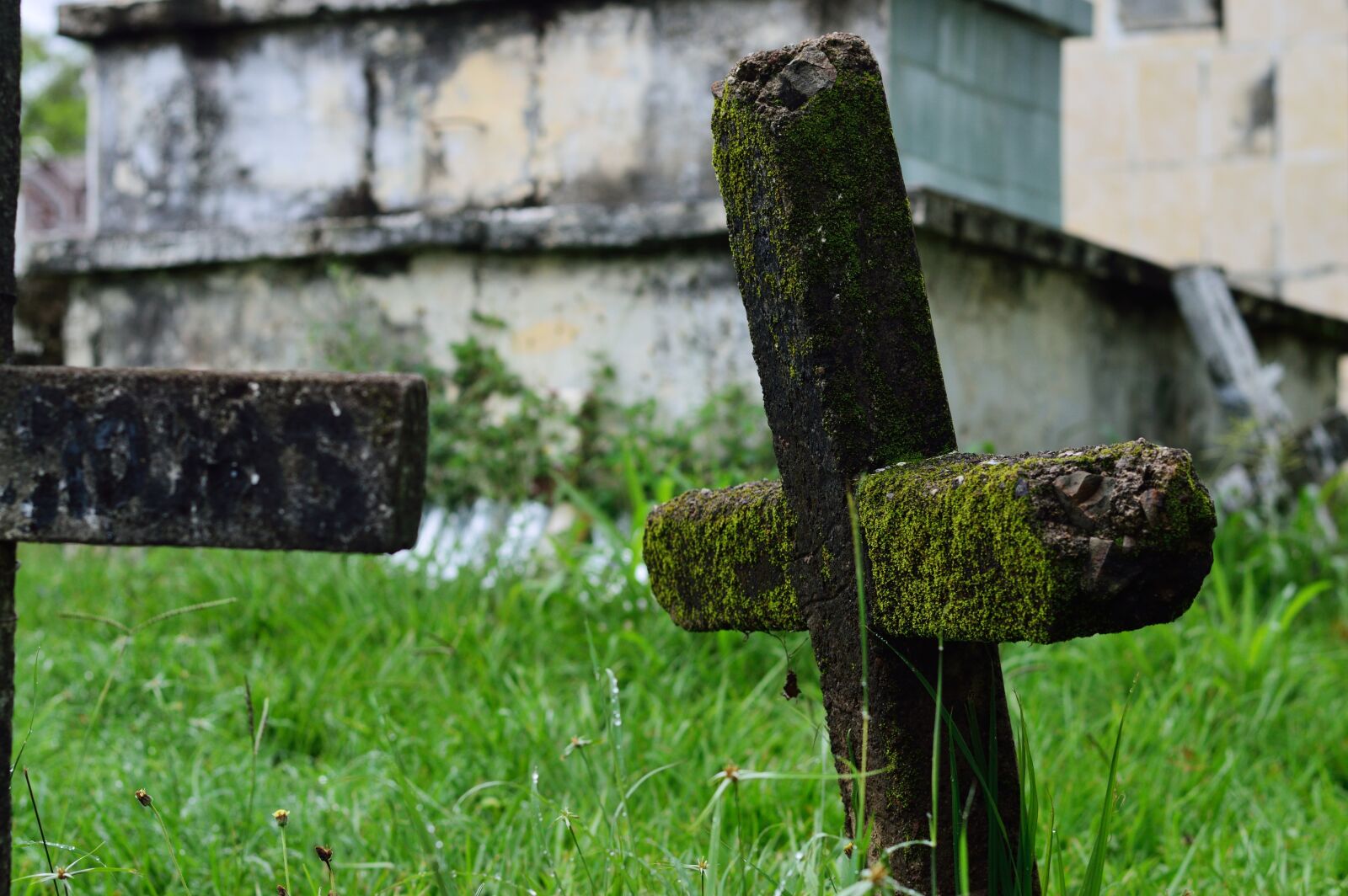 Nikon D3200 sample photo. Cemetery, old, tomb photography