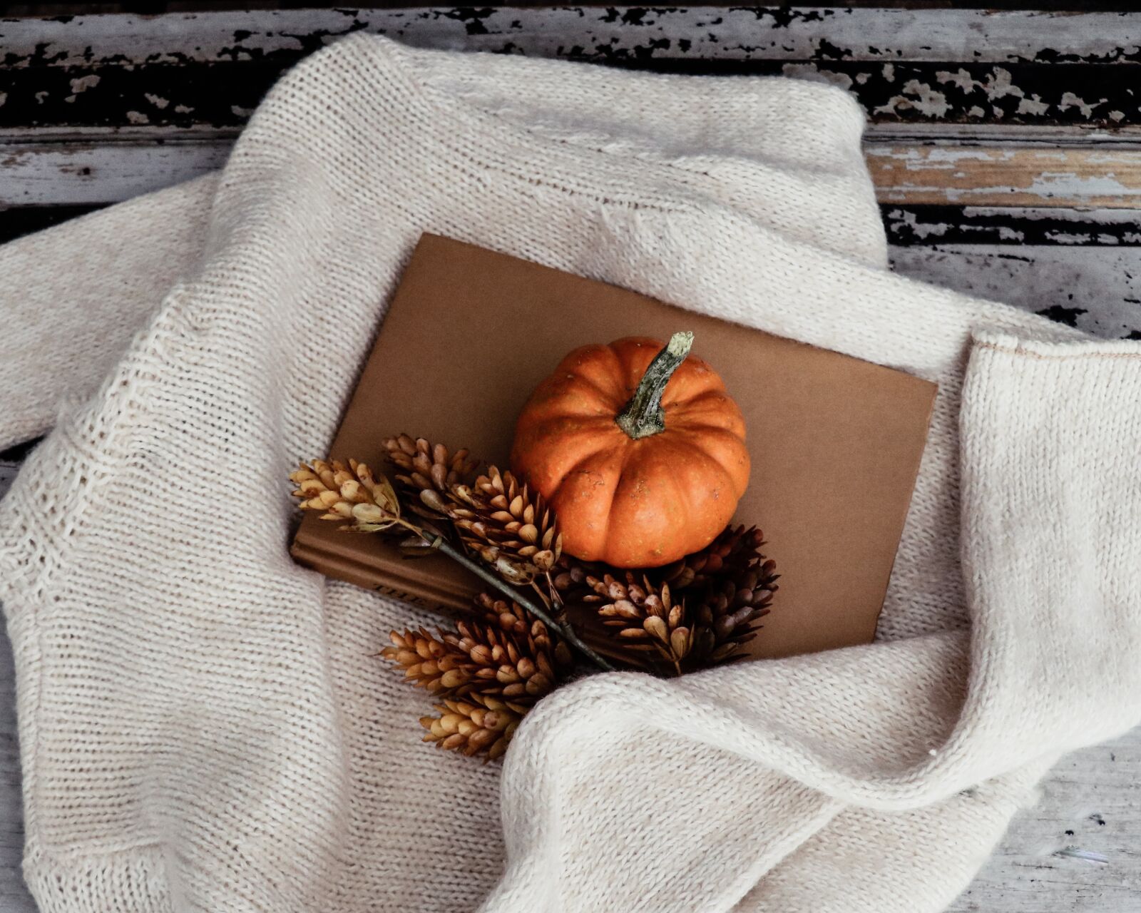 Canon EF-S 18-135mm F3.5-5.6 IS USM sample photo. Fall, pumpkin, fall colors photography