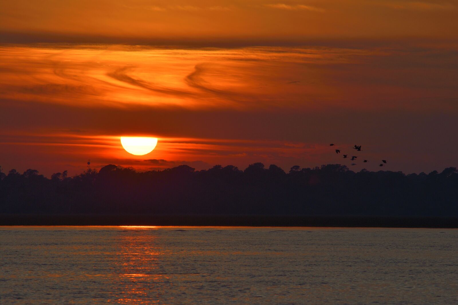 Nikon D3300 sample photo. Sunset, tropical, florida photography