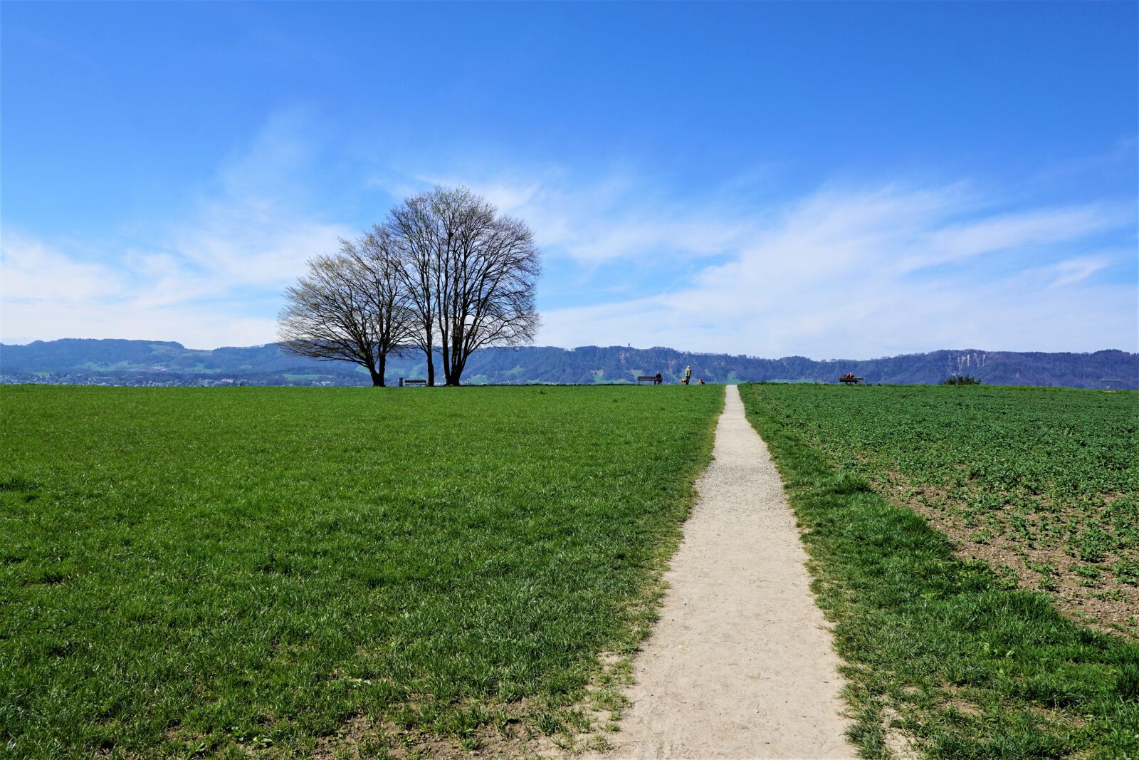 Sony ILCA-77M2 + Sony DT 16-50mm F2.8 SSM sample photo. Landscape, zollikon, zurich photography