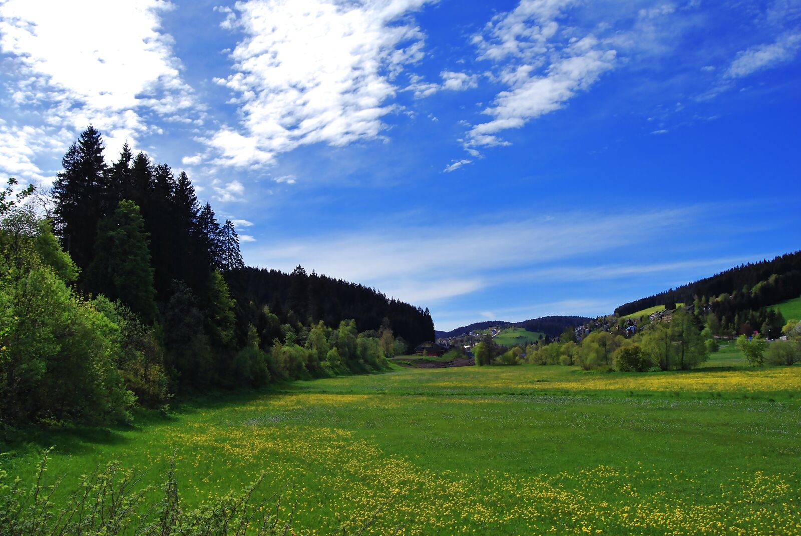 Nikon D60 sample photo. Landscape, meadow, summer photography